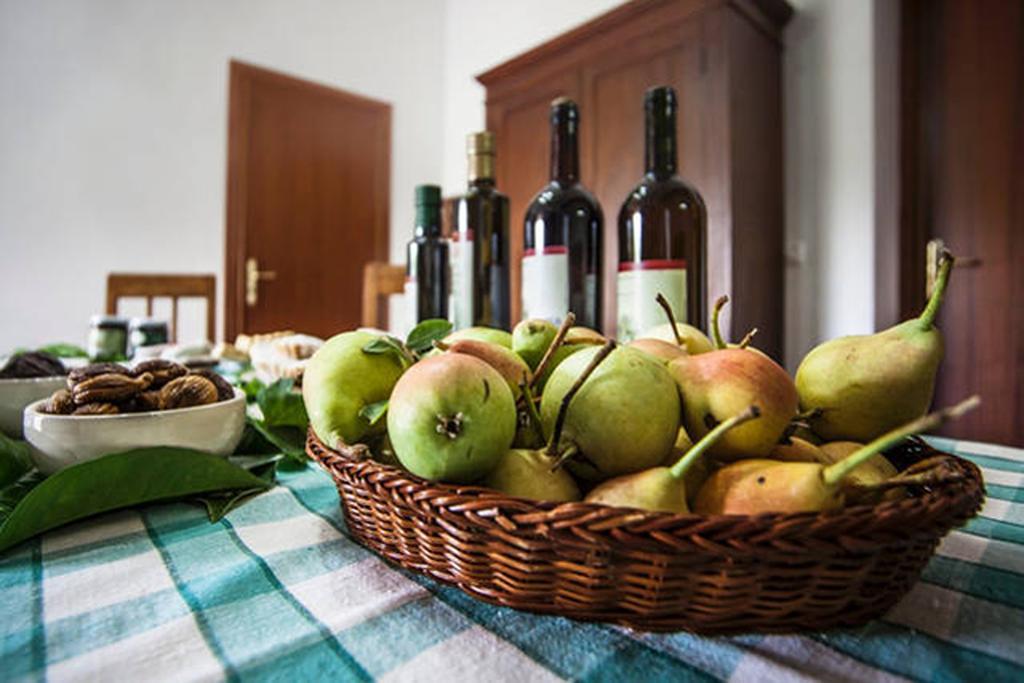 Agriturismo Miracco Atanasio Franco "Il Maniero" Santa Sofia d'Epiro Εξωτερικό φωτογραφία