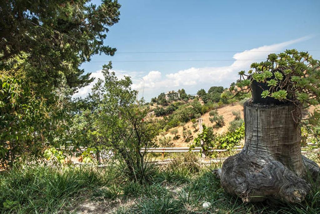 Agriturismo Miracco Atanasio Franco "Il Maniero" Santa Sofia d'Epiro Εξωτερικό φωτογραφία