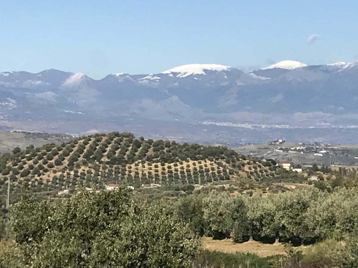 Agriturismo Miracco Atanasio Franco "Il Maniero" Santa Sofia d'Epiro Εξωτερικό φωτογραφία